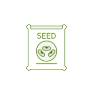 বীজ নির্বাচন