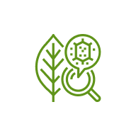 রোগ ও প্রতিকার