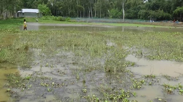 পানি নিষ্কাশনের ব্যবস্থা কেন গুরুত্বপূর্ণ