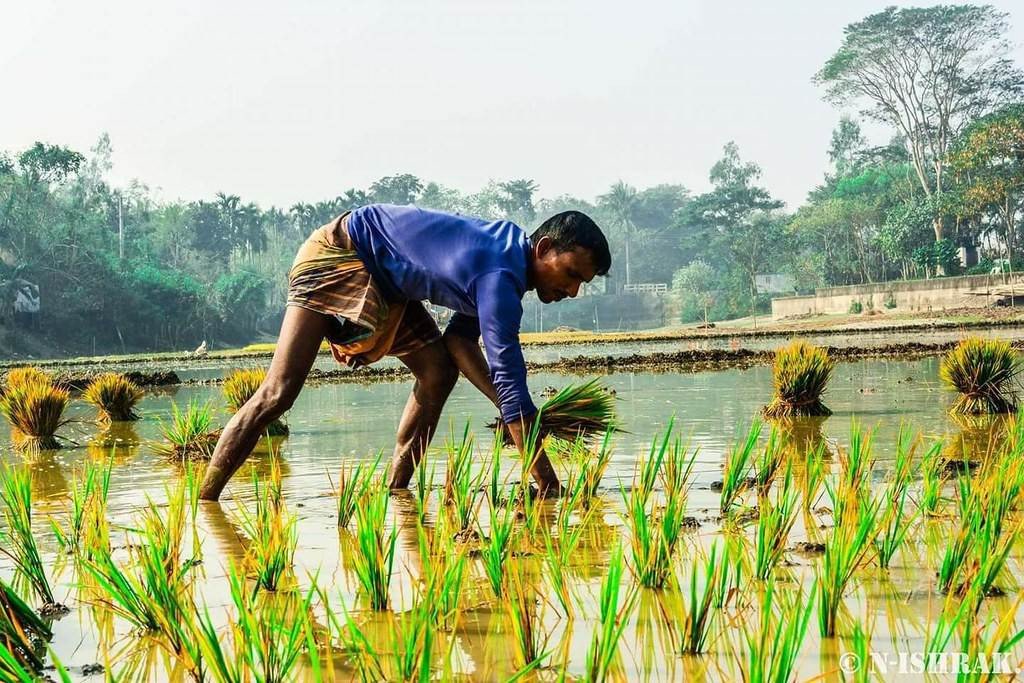 সফল চাষী সম্পর্কে
